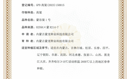 蒙谷粱1号品种简介