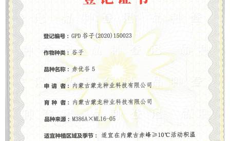 赤优谷5品种简介
