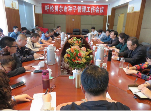 海拉尔19年经济总量_海拉尔2009年航拍图